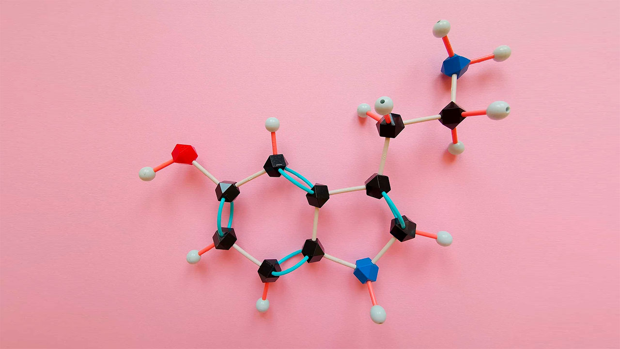 Mutluluk ve huzur hormonu Serotonin